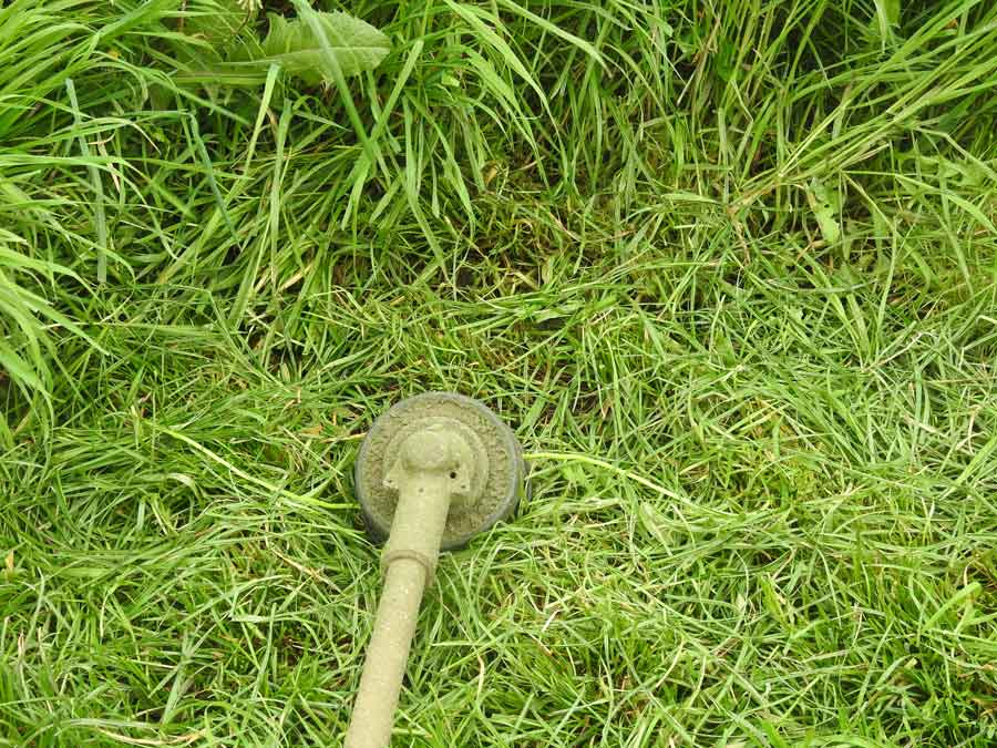 Fűkaszálás damilos kaszagéppel