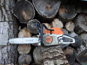 Fakivágás Budapesten – veszélyes fa kivágása szakemberrel