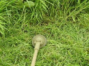 Fűkaszálás damilos kaszagéppel